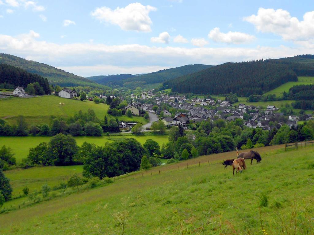 Hotel Niedersfeld-Winterberg Exteriör bild